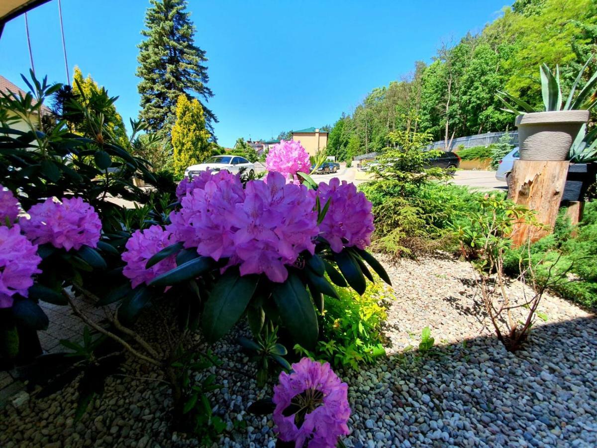 Hotel Mazuria Country & Spa Mrągowo Extérieur photo